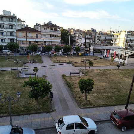 Amelies Apartments Paralia Katerinis Bagian luar foto